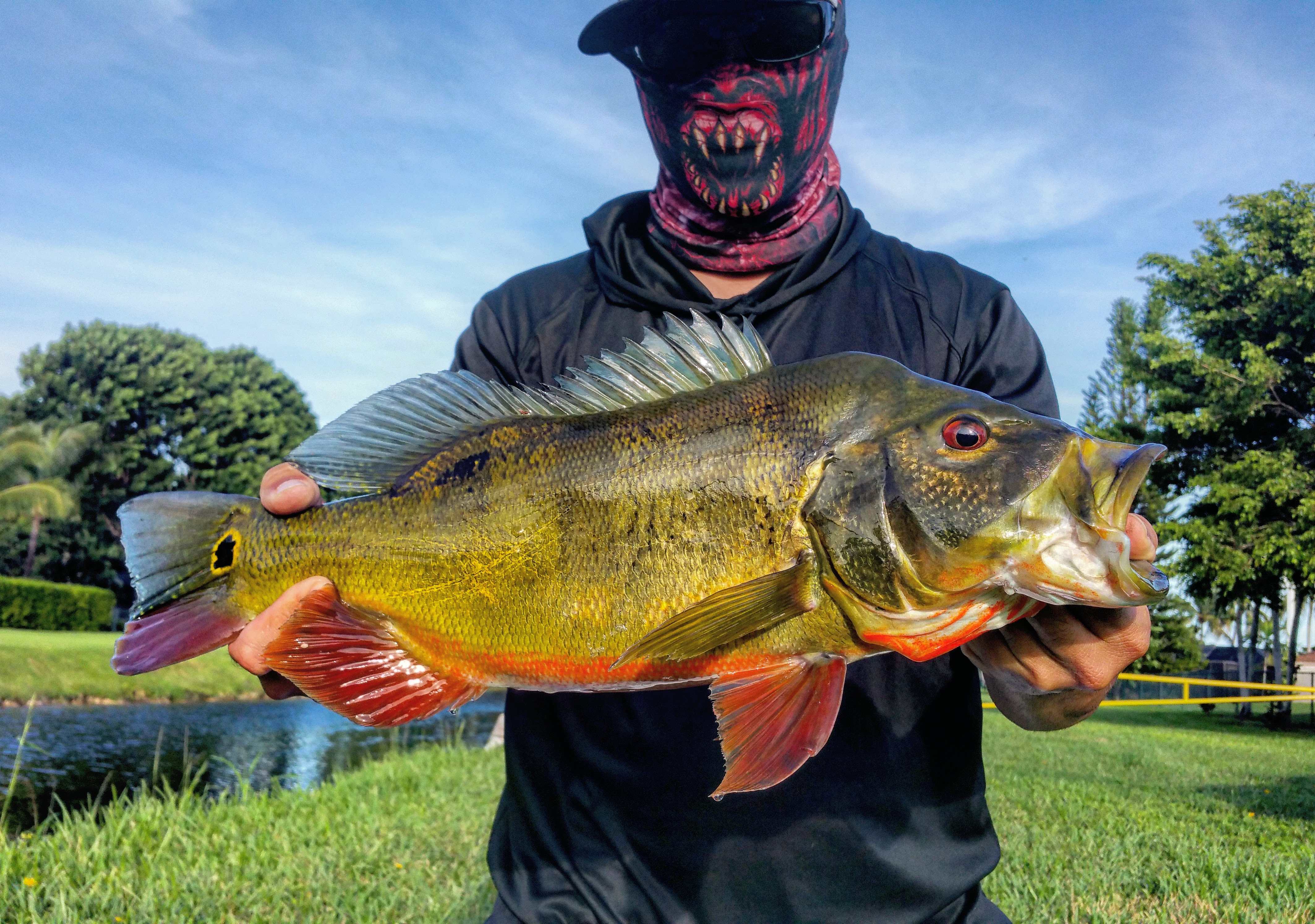 IMG_20161221_234847_721 – Monster Mike Fishing