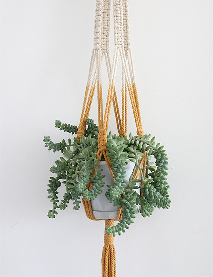 9 Gorgeous Ways to Decorate With Plants Melyssa Griffin 9 Gorgeous Ways to Decorate With Plants Melyssa Griffin