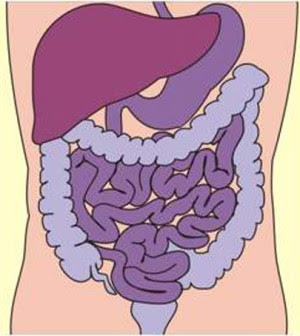 colon