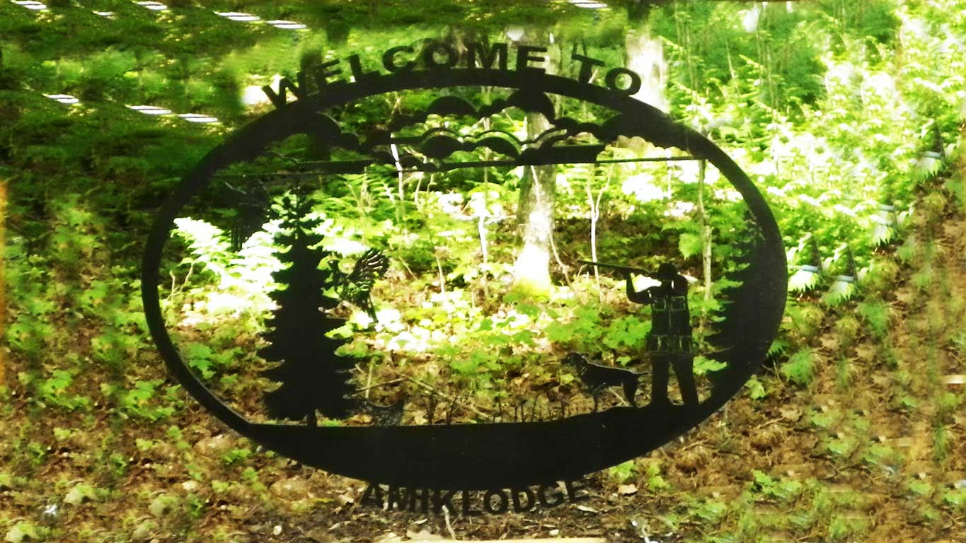Amik Lodge Webcam