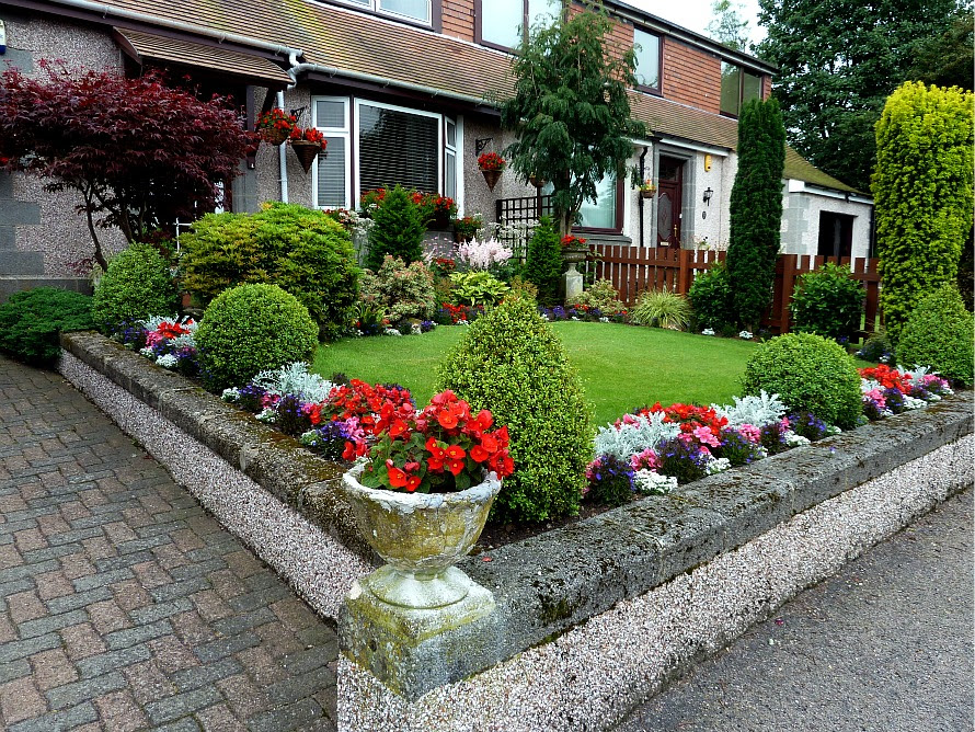 Front garden July 15th (2) - Aberdeen Gardening