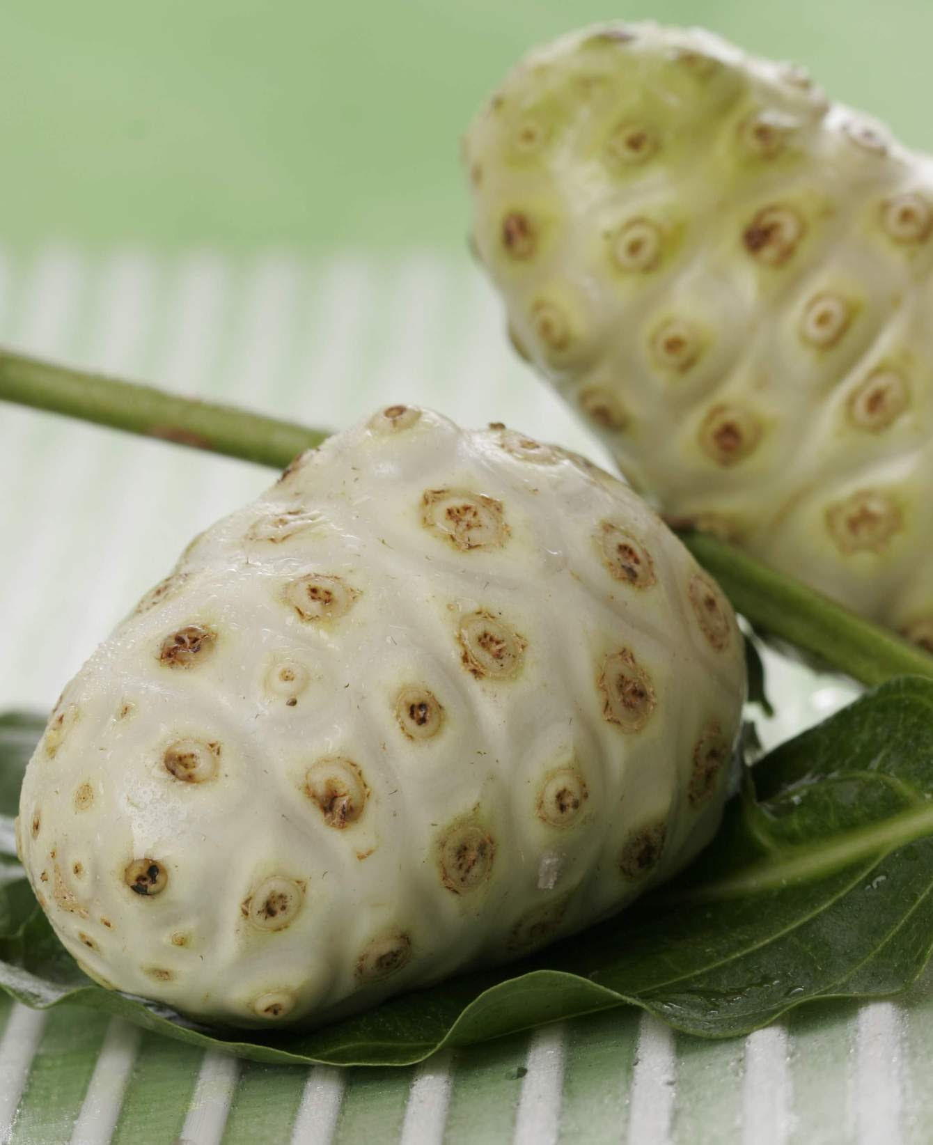 Benefits of Noni