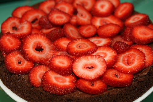Food Librarian - Chocolate Sponge Cake (Donna Hay)