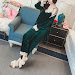 Recommended 3Piece Women Winter Warm Coral Velvet Pajamas Set Embroidered Floral Lace Patchwork Sleepwear Belted Waist Solid Color Nightgown