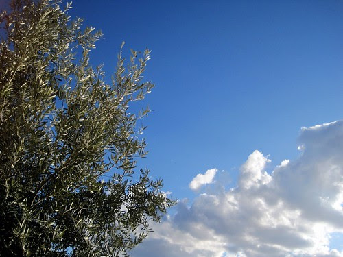 El cielo 