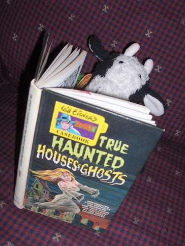 Reading scary ghost stories just before I go to bed