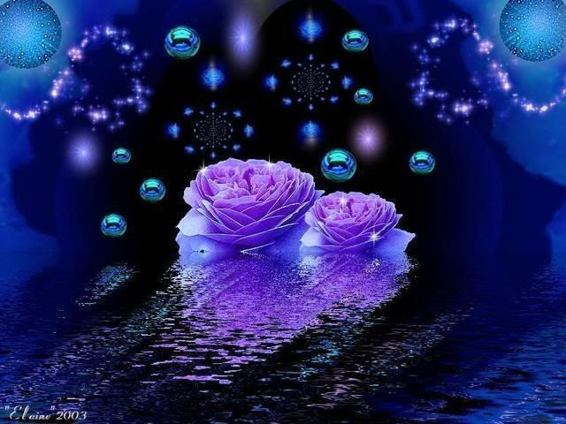 rosas Pictures, Images and Photos