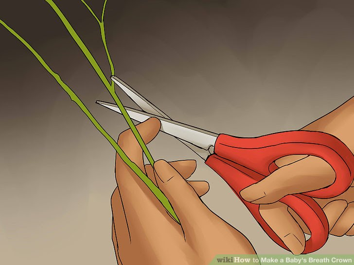 Make a Baby's Breath Crown Step 9.jpg