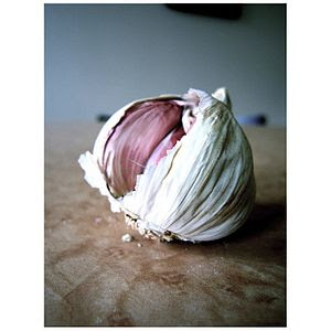 Garlic