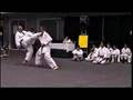 Trio Karate Demonstration