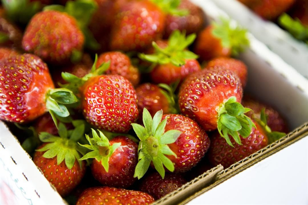 An outbreak of hepatitis A caused by imported frozen strawberries from Egypt has sickened 55 people in six states, the US Centers for Disease Control and Prevention said Wednesday. Health authorities confirmed 44 total infections in Virginia, where the...