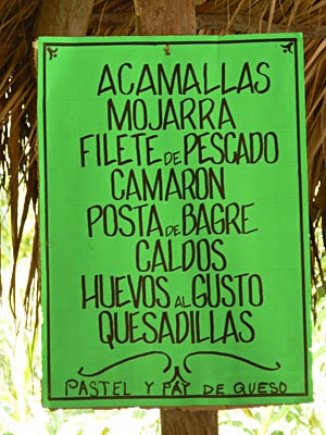 a manger ....jpg