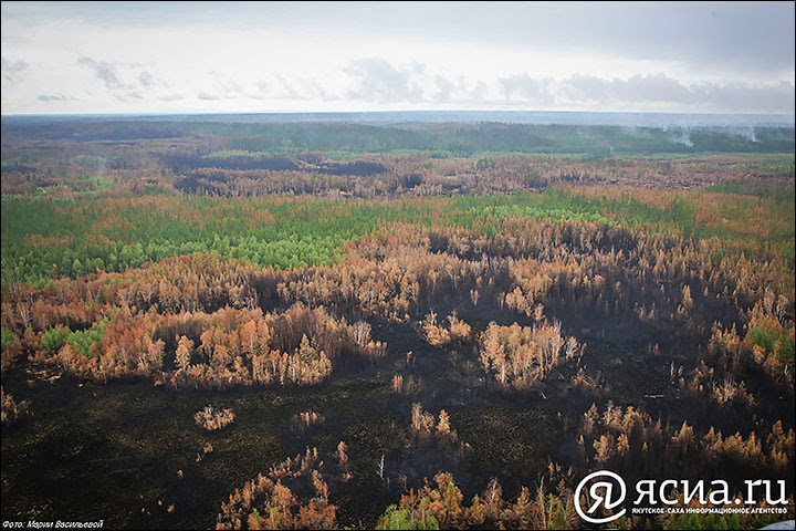 Officials resort to artificial rain to tackle raging wildfires in Siberia