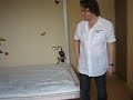 Подъемная кровать 2