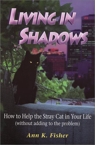 Living In Shadows How To Help The Stray Cat In Your Life Without Adding
To The Problem