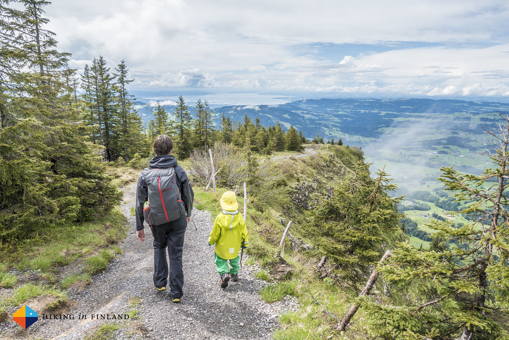 Bodensee views