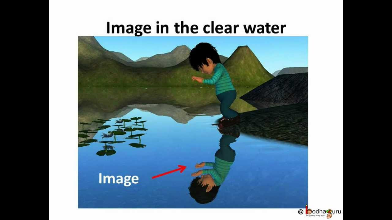 Science - Light - Reflection - English - YouTube