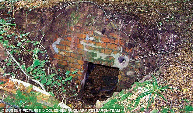 The remains of Jonah Patrol's Operational Base in Wentwood Forest, near Newport