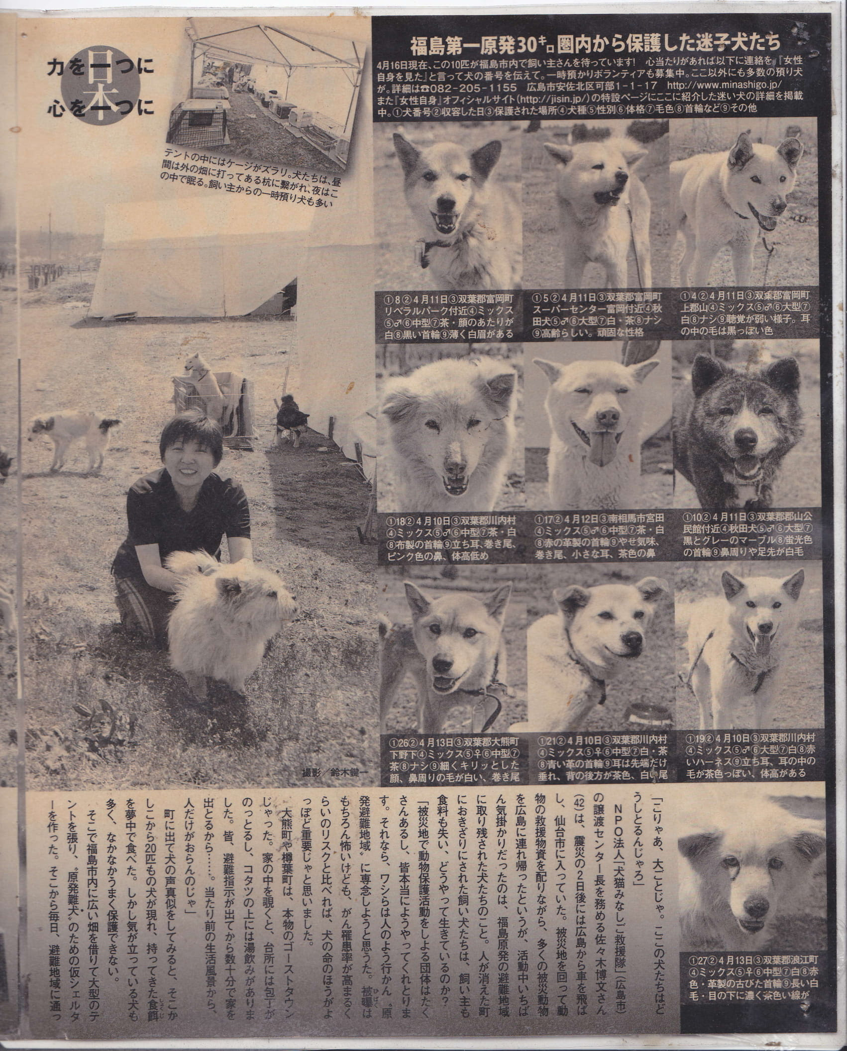 沿革 Npo法人 みなしご救援隊 犬猫譲渡センター 犬猫ひきとり 犬猫里親さがし 犬猫保護団体 保護犬引きとり保護 保護犬 カフェ 保護猫カフェ ドッグカフェ 犬猫引きとり施設 犬が飼えなくなった 猫が飼えなくなった 犬の里親になりたい 猫の里親になりたい 殺処分ゼロ