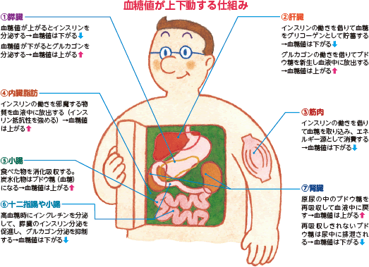 09 薬物療法 経口薬 Skk 糖尿病セミナー 糖尿病net