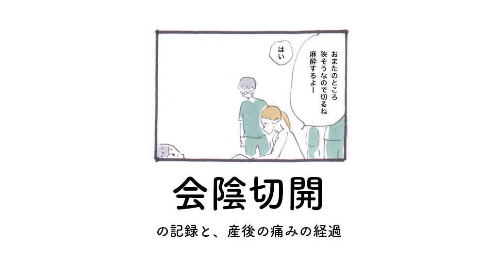 産後１ヶ月続いた痛み 会陰切開の記録 すそのの日々 子育てと家づくりのブログ