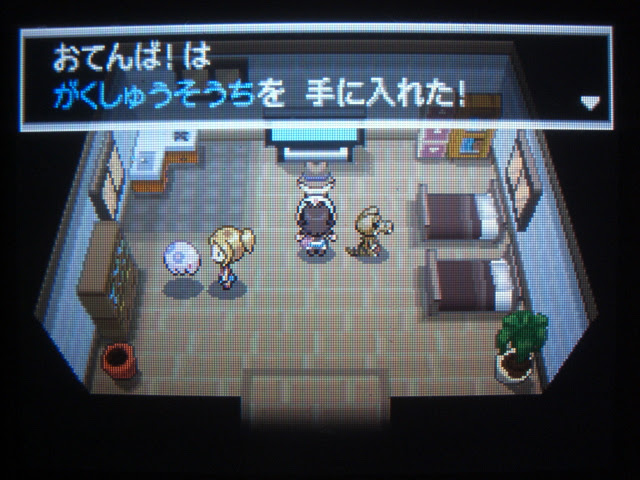 ポケモンホワイト がくしゅうそうちキターー ゾメスケ おてんばびっくり 日記
