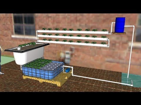 diy aquaponics for beginners 2014, a how to guide to