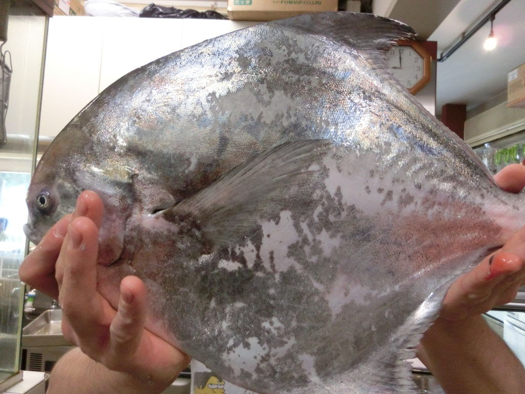 淡路マナガツオと八戸ゴマ鯖と和歌山ちびき Pappaのお魚ブログ