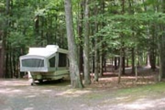 Campground Details  MAX V. SHAUL STATE PARK, NY  New York State 