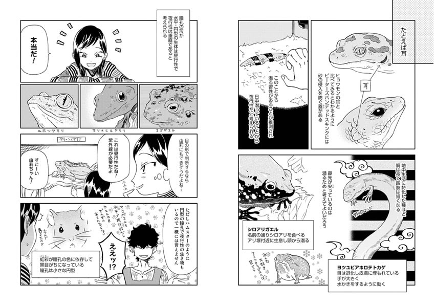 マドンナはガラスケースの中2 スガワラエスコ Torrent Toshokan