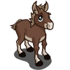 Mule bebé
