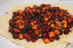 Cranberry Persimmon Lime Galette - Tuesdays with Dorie