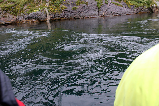 IMG_4470 Saltstraumen whirlpool