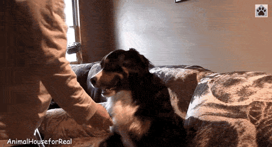 sending you a                                  hug