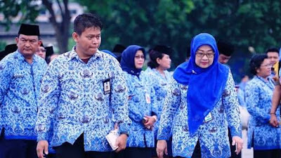 Jabatan pns