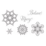 Snowflake Soiree (carryover, old stamp cases)