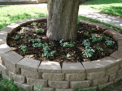 Rock Planter Around Tree