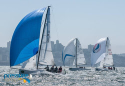 J/70s sailing Rolex Big Boat Series- San Francisco