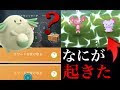++ 50 ++ ポケモンgo ピンプク 相棒 108359-ポケモンgo ピンプク 相棒
