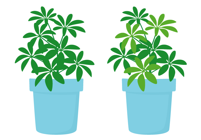 観葉植物 かわいい無料のフリーイラスト素材集