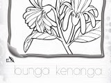 10,705 views jul 3, 2021 subjek: Tema Prasekolah Bunga Otosection