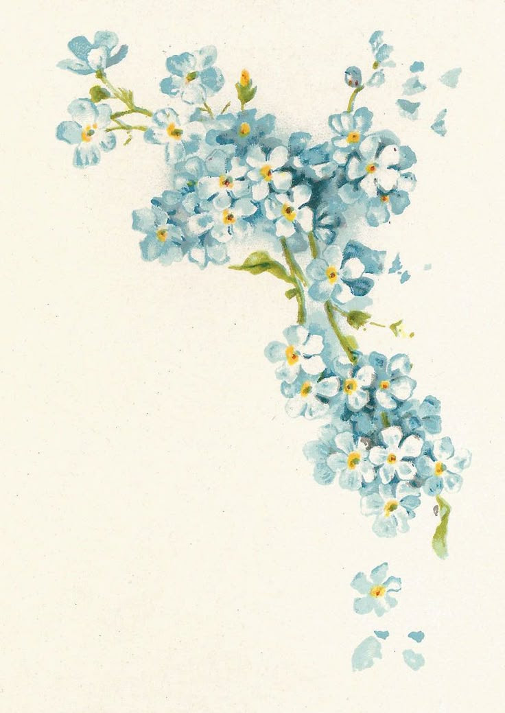 forget-me-nots