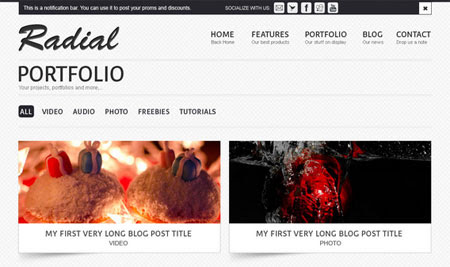 Radial Portfolio Site Template
