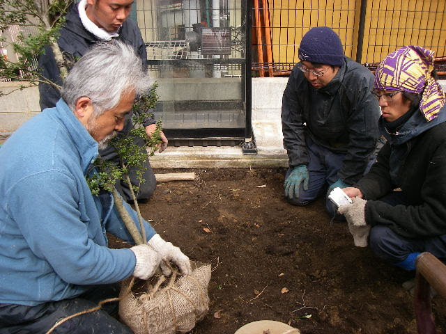有 木下庭園管理 横浜 造園 ガーデニング 庭 植木 設計 工事 自社講習 根巻き