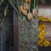 lisa waud, the flower house, detroit, repurposed home, flower farm, reclaim detroit, gardening, flower art