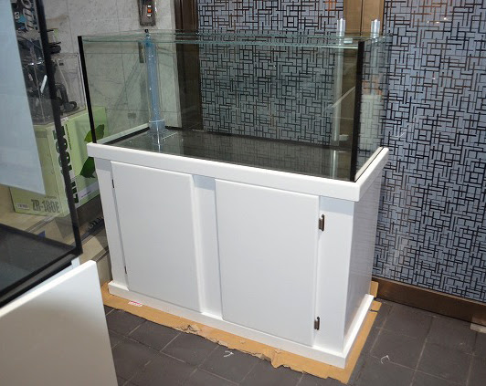 使用期間3ヶ月 中古1cm水槽大特売 生麦海水魚センター