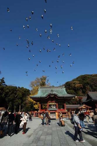 E Kamakura 鎌倉在住の写真家が紹介する湘南鎌倉の写真とイラストのページ