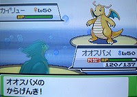 ポケモン 今度こそ 雪に白鷺 日記淡々