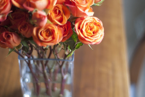 tea roses, close