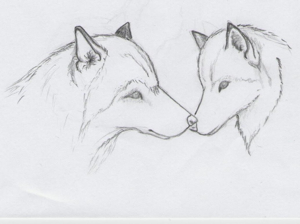 Wolf sketch by WolfOneForTheClan on DeviantArt